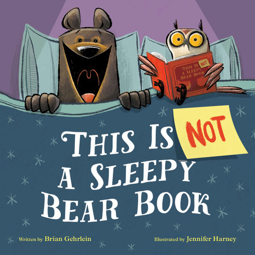This Is Not a Sleepy Bear Book book cover by Brian Gehrlein