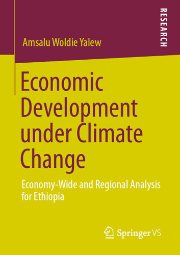 Economic Development under Climate Change: Economy-Wide and Regional Analysis for Ethiopia book cover by Amsalu Woldie Yalew