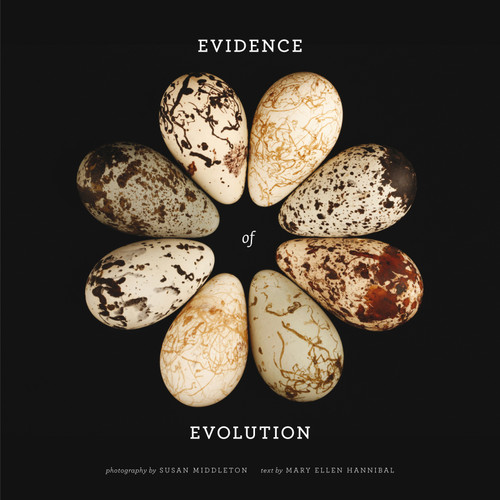Evidence of Evolution book cover by Mary Ellen Hannibal