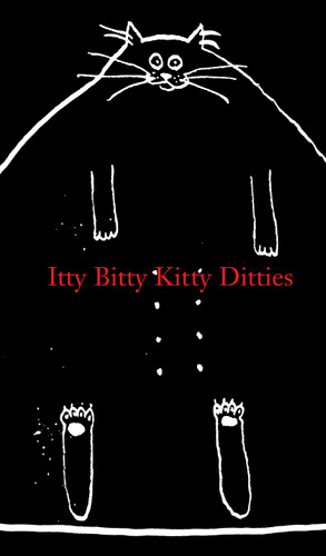 Itty Bitty Kitty Ditties book cover by 