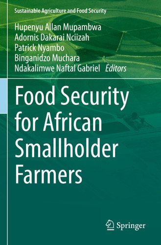 Food Security for African Smallholder Farmers (Sustainability Sciences in Asia and Africa) book cover by 