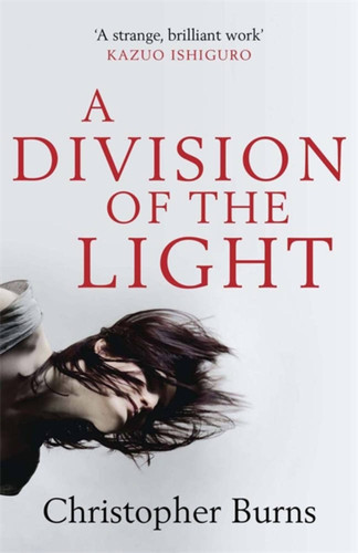 A Division of the Light book cover by Christopher Burns