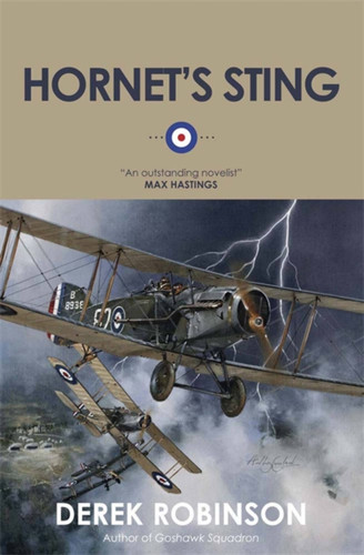 Hornet's Sting book cover by Derek Robinson