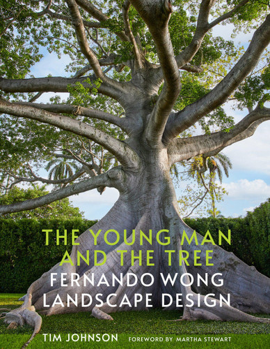 The Young Man and the Tree: Fernando Wong Landscape Design—Explore the stunning private tropical gardens created by award-winning landscape designer Fernando Wong book cover by Tim Johnson