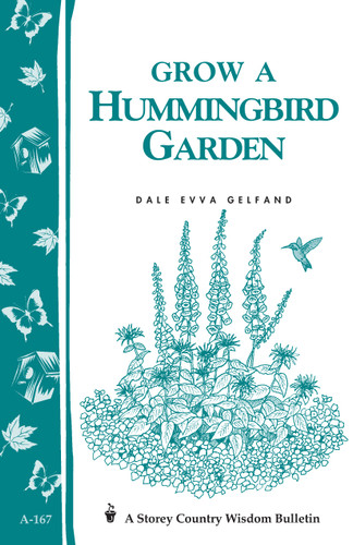Grow a Hummingbird Garden: Storey's Country Wisdom Bulletin A-167 (Storey Country Wisdom Bulletin) book cover by Dale Evva Gelfand