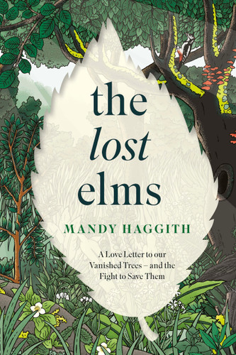 The Lost Elms: A Love Letter to Our Vanished Trees – and the Fight to Save Them book cover by Mandy Haggith