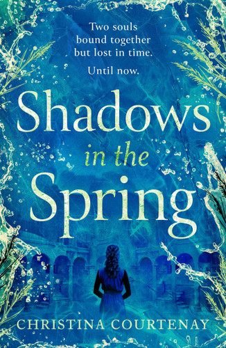 A brand-new, gripping, time-slip romance, filled with adventure and vivid historical detail!: A brand-new, gripping, time-slip romance, filled with adventure and vivid historical detail! book cover by Christina Courtenay