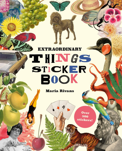 Extraordinary Things Sticker Book book cover by 