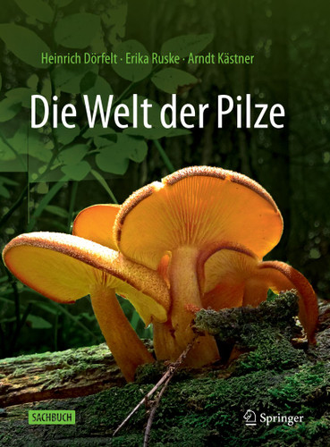 Die Welt der Pilze book cover by Heinrich Dörfelt, Erika Ruske, Arndt Kästner