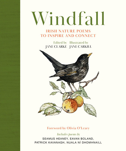 Windfall: Irish Nature Poems to Inspire and Connect book cover by Jane Clarke