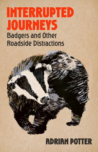 Interrupted Journeys: Badgers and Other Roadside Distractions book cover by Adrian Potter