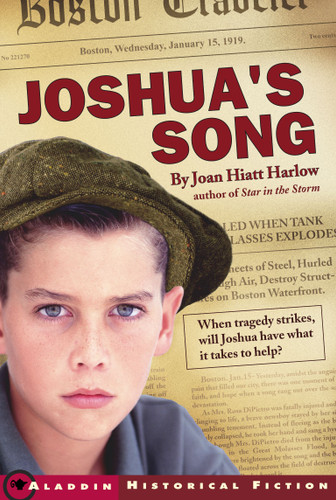 Joshua's Song book cover by Joan Hiatt Harlow