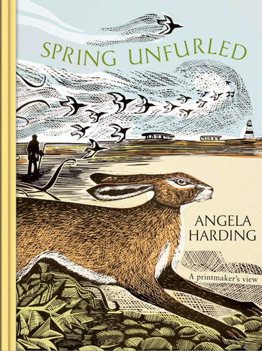Spring Unfurled: part of a beautiful new series from beloved illustrator and print-maker Angela Harding book cover by Angela Harding