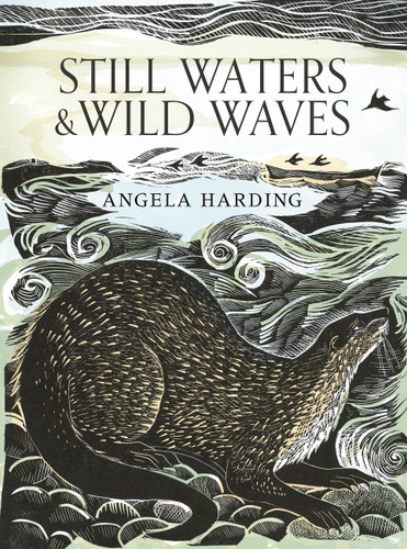 Still Waters & Wild Waves: the beautiful new book from printmaker and illustrator Angela Harding book cover by Angela Harding
