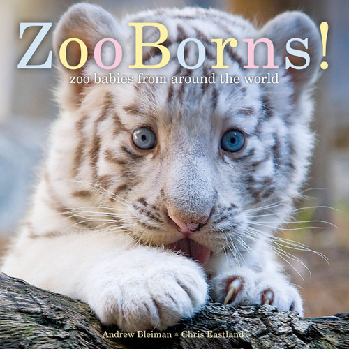 ZooBorns!: Zoo Babies from Around the World (ZooBorns) book cover by Andrew Bleiman, Chris Eastland