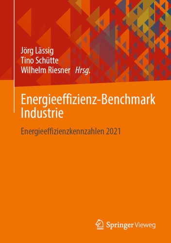 Energieeffizienz-Benchmark Industrie: Energieeffizienzkennzahlen 2021 book cover by 