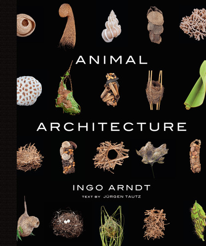 Animal Architecture book cover by Ingo Arndt
