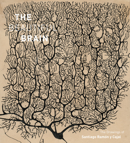 The Beautiful Brain: The Drawings of Santiago Ramon y Cajal book cover by Eric Newman, Alfonso Araque, Larry W. Swanson, Janet M. Dubinsky