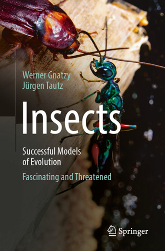Insects - Successful Models of Evolution: Fascinating and Threatened book cover by Werner Gnatzy, Jürgen Tautz