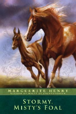 Stormy, Misty's Foal Cover