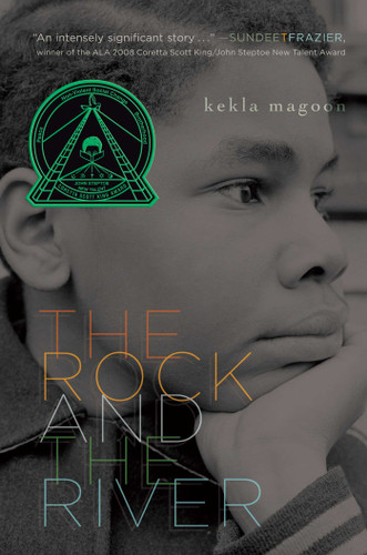 The Rock and the River book cover by Kekla Magoon
