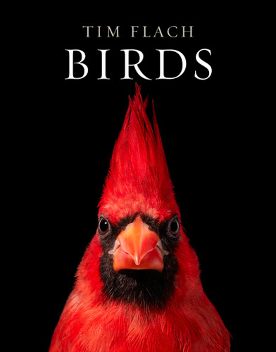 Birds: Photographs book cover by Tim Flach