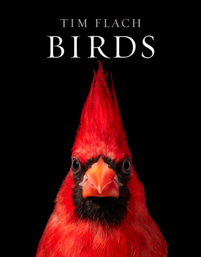 Birds: Photographs book cover by Tim Flach