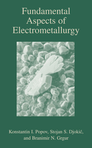 Fundamental Aspects of Electrometallurgy book cover by Konstantin Popov, Branamir Grgur, Stojan S. Djokić