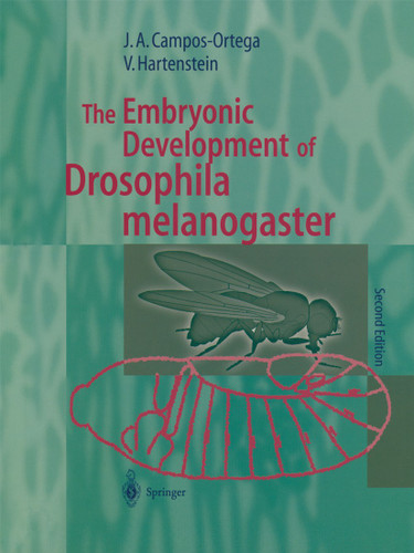 The Embryonic Development of Drosophila melanogaster book cover by Jose A. Campos-Ortega, Volker Hartenstein