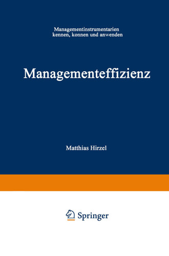 Managementeffizienz: Managementinstrumentarium kennen, können und anwenden book cover by Matthias Hirzel