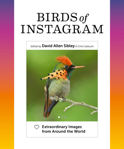 Birds of Instagram: Extraordinary Images from Around the World book cover by 
