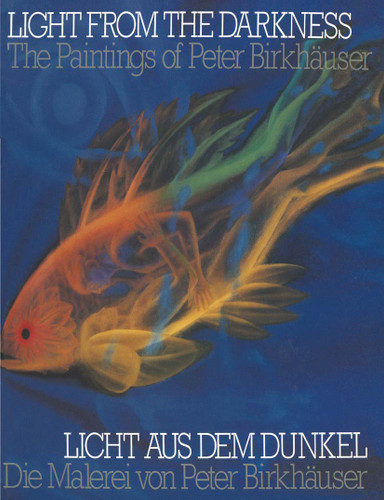 Light From the Darkness / Licht aus dem Dunkel: The Paintings of Peter Birkhäuser / Die Malerei von Peter Birkhäuser book cover by Peter Birkhäuser