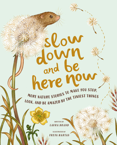 Slow Down and Be Here Now: More Nature Stories to Make You Stop, Look, and Be Amazed by the Tiniest Things (Slow Down) book cover by Laura Brand