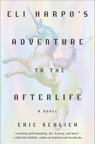 Eli Harpo's Adventure to the Afterlife: A Novel book cover by Eric Schlich