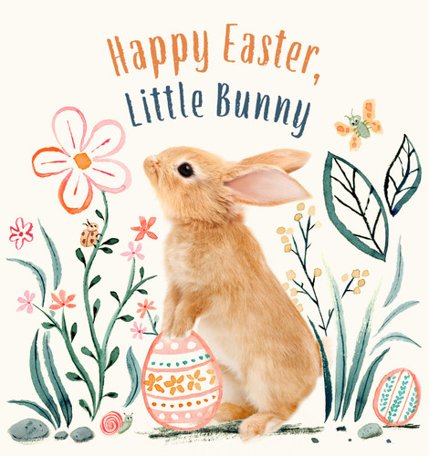 Happy Easter, Little Bunny: A Board Book (Baby Animal Tales) book cover by Amanda Wood
