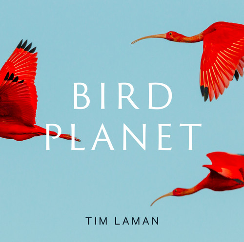 Bird Planet: A Photographic Journey book cover by Tim Laman