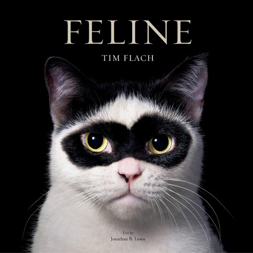 Feline: Photographs book cover by Tim Flach