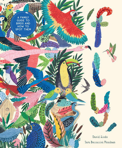 Fly: A Family Guide to Birds and How to Spot Them (In Our Nature) book cover by David Lindo