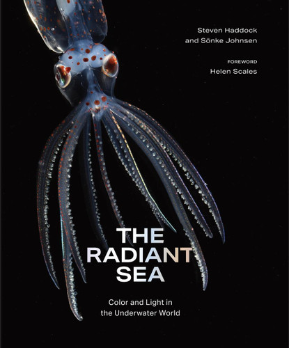 The Radiant Sea: Color and Light In the Underwater World book cover by Sönke Johnsen, Steven Haddock