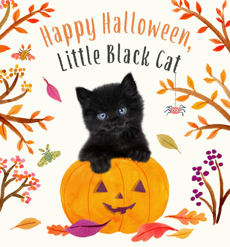 Happy Halloween, Little Black Cat: A Board Book (Baby Animal Tales) book cover by Amanda Wood