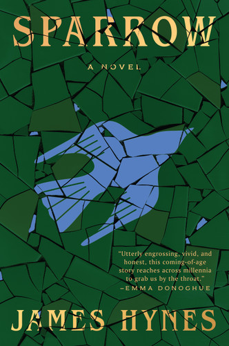 Sparrow: A Novel book cover by James Hynes