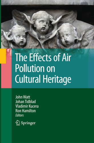 The Effects of Air Pollution on Cultural Heritage book cover by 