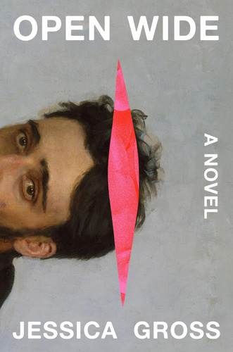 Open Wide: A Novel book cover by Jessica Gross