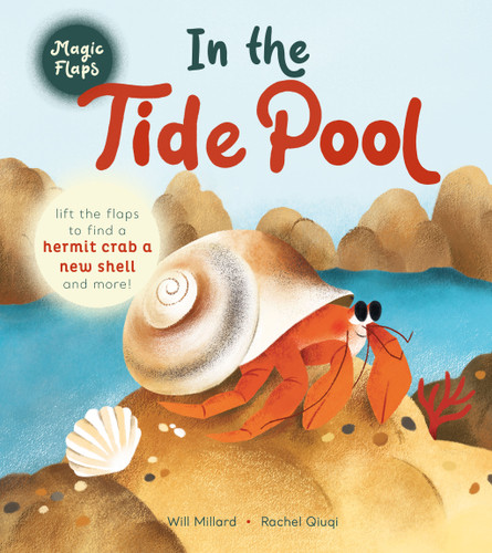 In the Tide Pool: A Magic Flaps Book (Magic Flaps) book cover by Will Millard