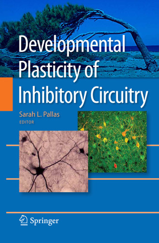 Developmental Plasticity of Inhibitory Circuitry book cover by 