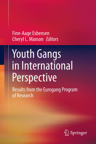 Youth Gangs in International Perspective: Results from the Eurogang Program of Research book cover by 