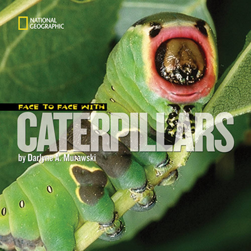 Face to Face with Caterpillars (Face to Face with Animals) book cover by Darlyne A. Murawski