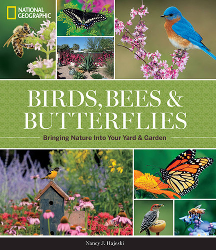 National Geographic Birds, Bees, and Butterflies: Bringing Nature Into Your Yard and Garden book cover by Nancy J. Hajeski