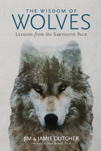 The Wisdom of Wolves: Lessons From the Sawtooth Pack book cover by Jim Dutcher