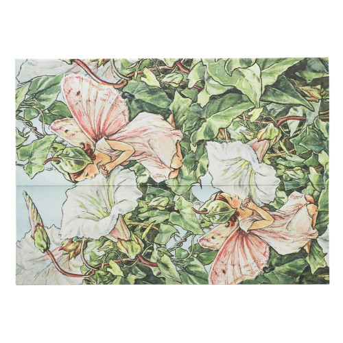 Bindweed Fairy Document Folder by Paperblanks (Flower Fairies) book cover by 